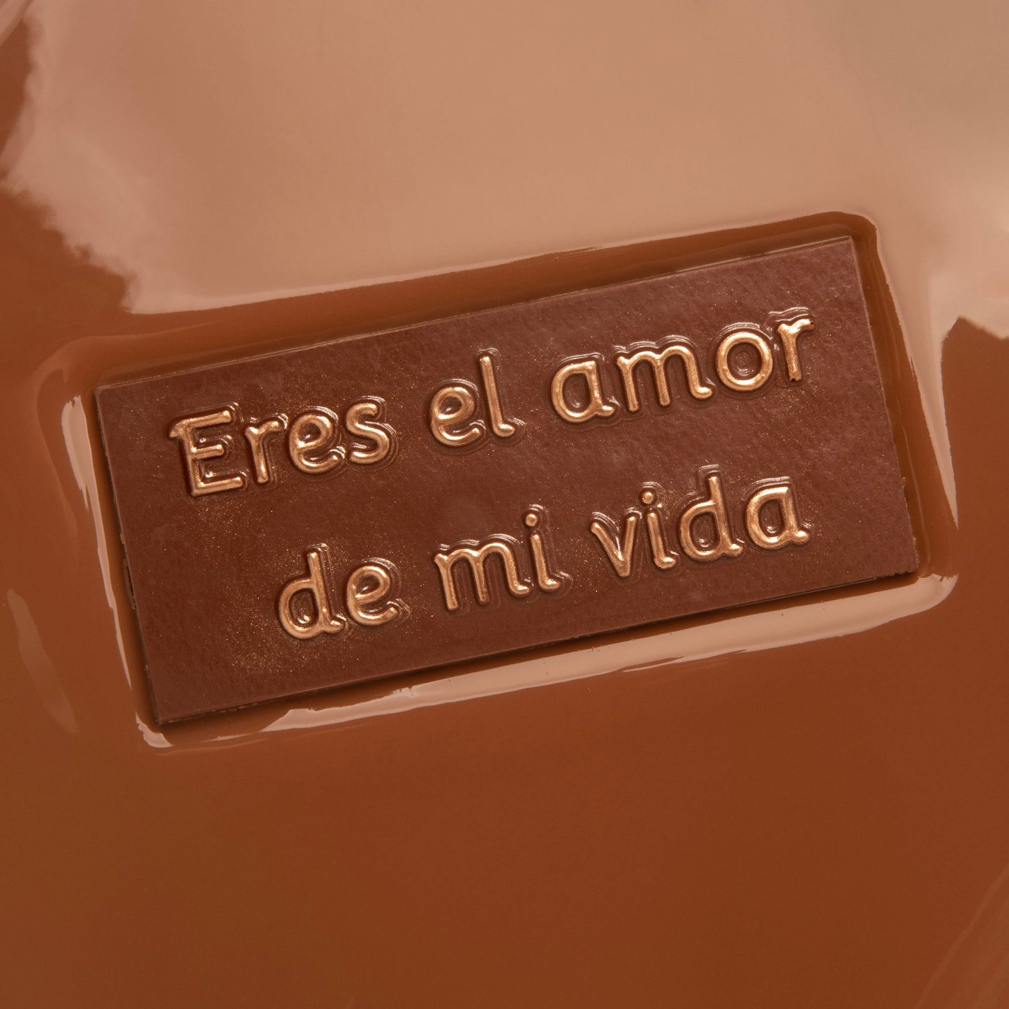Eres el amor de mi vida