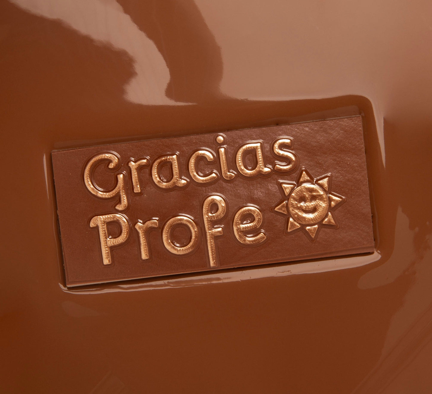 Gracias profe