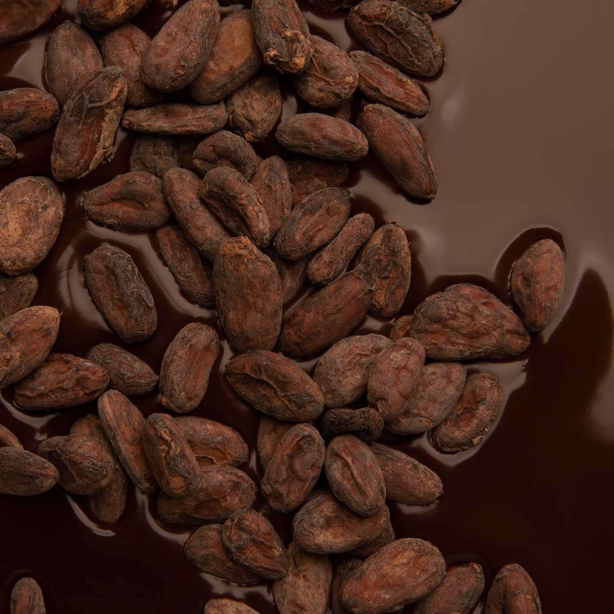 Tableta BTB de chocolate negro 70% cacao de origen Sierra Nevada, Colombia